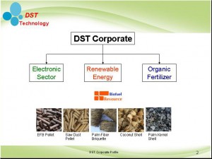 DST Corporate Organization