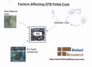 Factors Affecting EFB Pellet Price